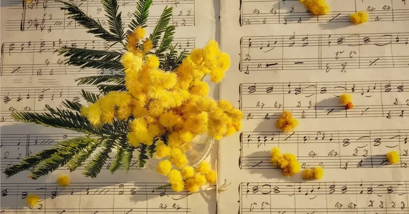 Music as Memory: How Songs Become Generational Time Capsules