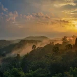 Faith, Rituals, and Their Place in Modern Culture